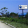 painel verao